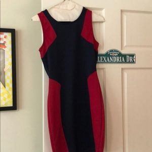 Red and Blue Bodycon Dress